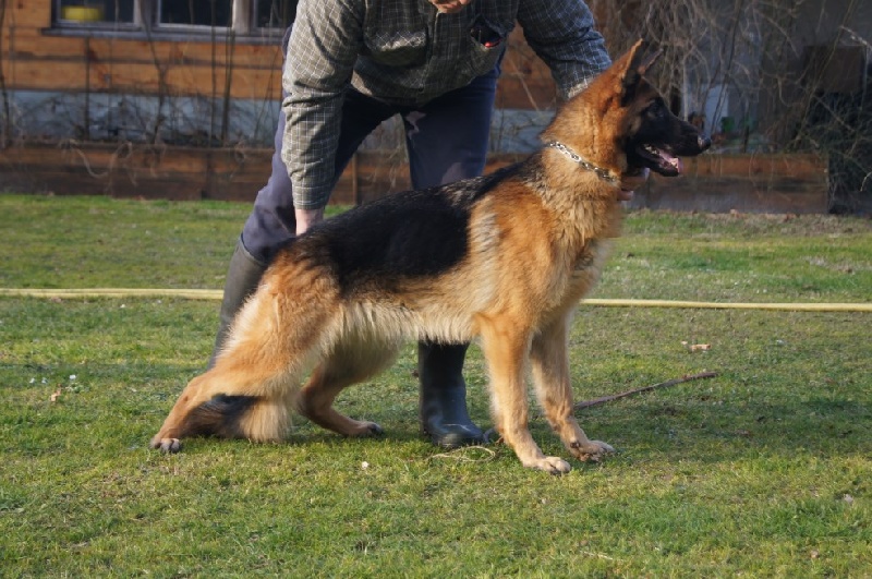 Harmonie des Hauts de Fontaine